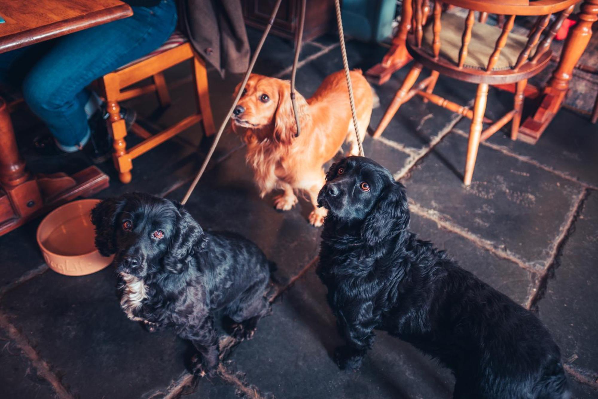 The White Horse Inn Bunkhouse Threlkeld Екстериор снимка